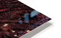 Pink Light Butterfly  HD Metal print