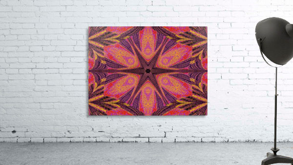Desert Star Wall Preview