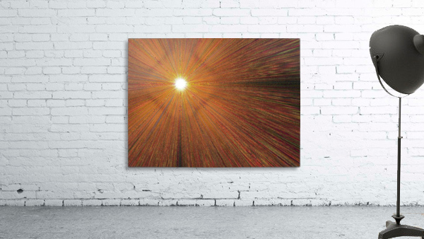 Sunshine In Light 1  Wall Preview