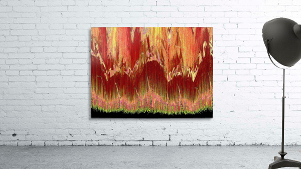 Raining Colors 1  Wall Preview