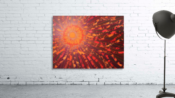 Sunlight Streaming 1 Wall Preview