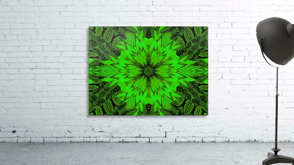 Emerald  Daisy Wall Preview