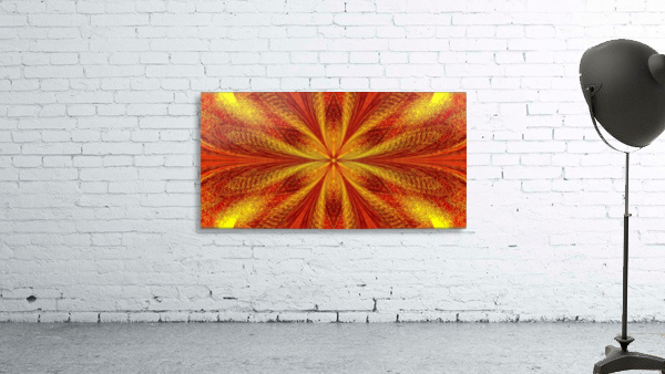 Sunset Daffodil Wall Preview
