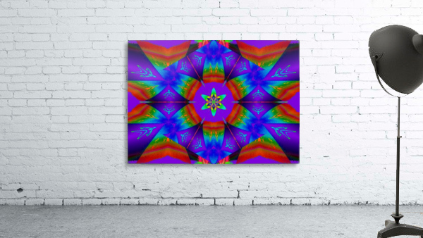 Rainbow Aurora Wildflower Wall Preview