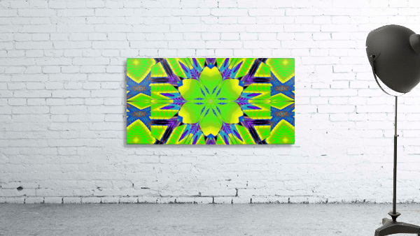 Plastic Lotus 4 Wall Preview