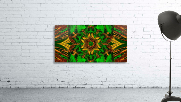 Painted Lotus 28 Wall Preview