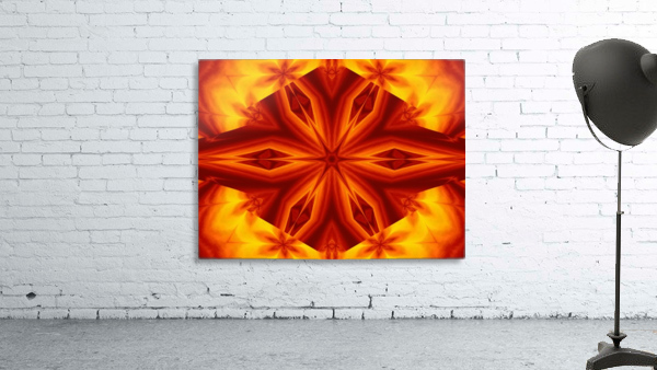 Fire Flowers 28 Wall Preview