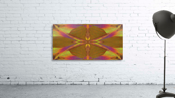 Emerging Butterfly Wall Preview