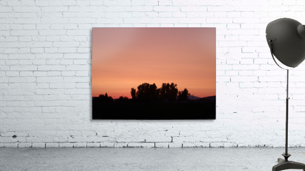 Sunset Over Trees 1 Wall Preview
