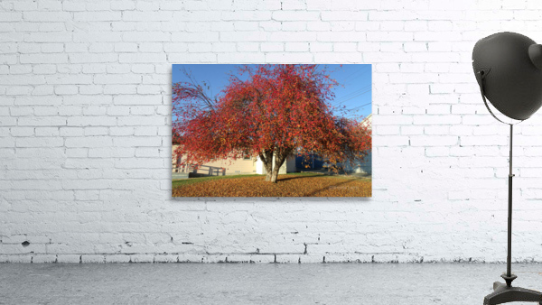 Crabapple Tree 1 Wall Preview