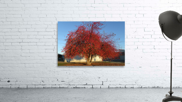 Crabapple Tree 2 Wall Preview