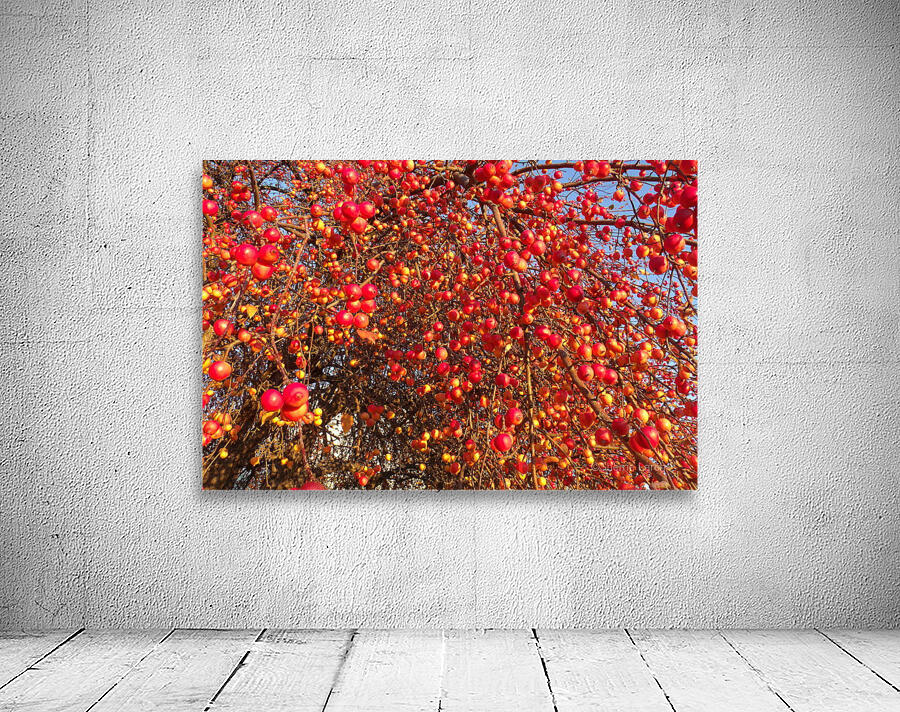 Crabapple Tree 3 Wall Preview