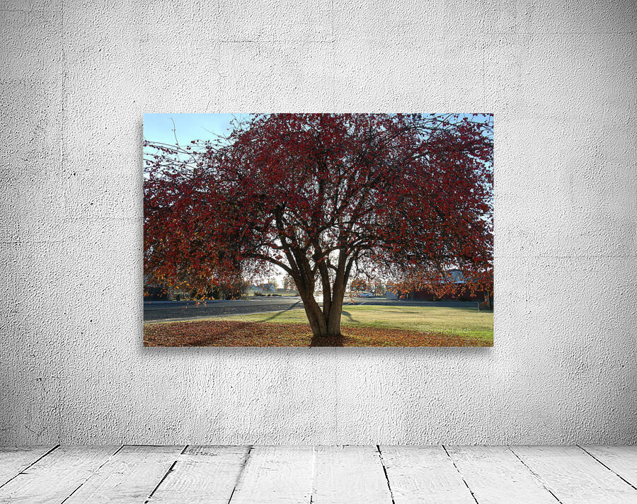 Crabapple Tree 6 Wall Preview
