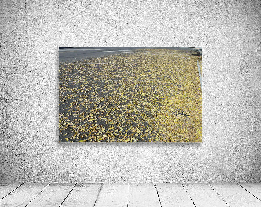 Fall Leaves 1 Wall Preview