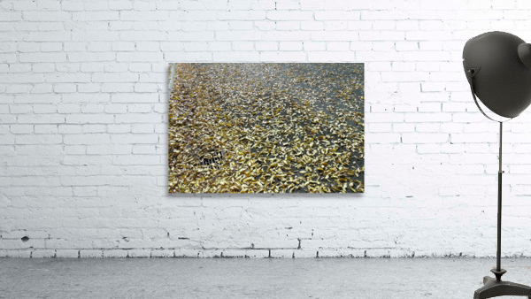 Fall Leaves 2 Wall Preview