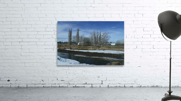 Lost River Winter Trees 1 Wall Preview