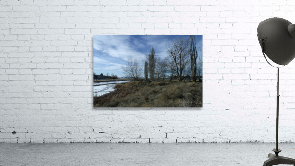 Lost River Winter Trees 2 Wall Preview