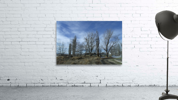 Lost River Winter Trees 3 Wall Preview