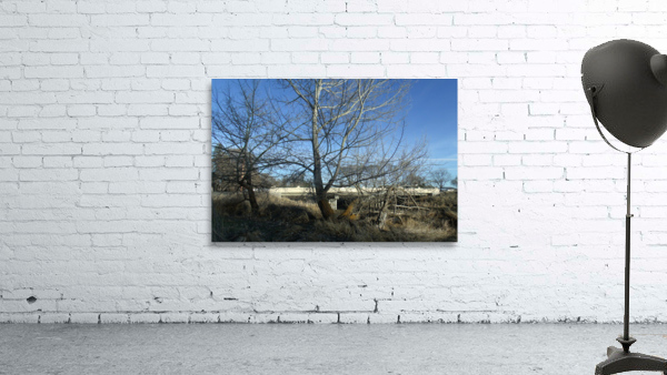 Lost River Winter Trees 4 Wall Preview