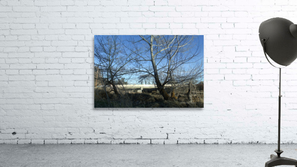 Lost River Winter Trees 5 Wall Preview