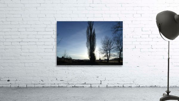 Lost River Winter Trees 6 Wall Preview