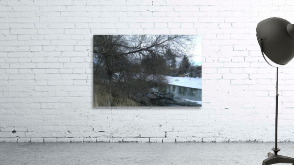 Spring Snow Trees 1  Wall Preview