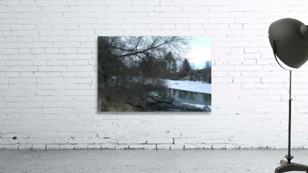 Spring Snow Trees 2  Wall Preview