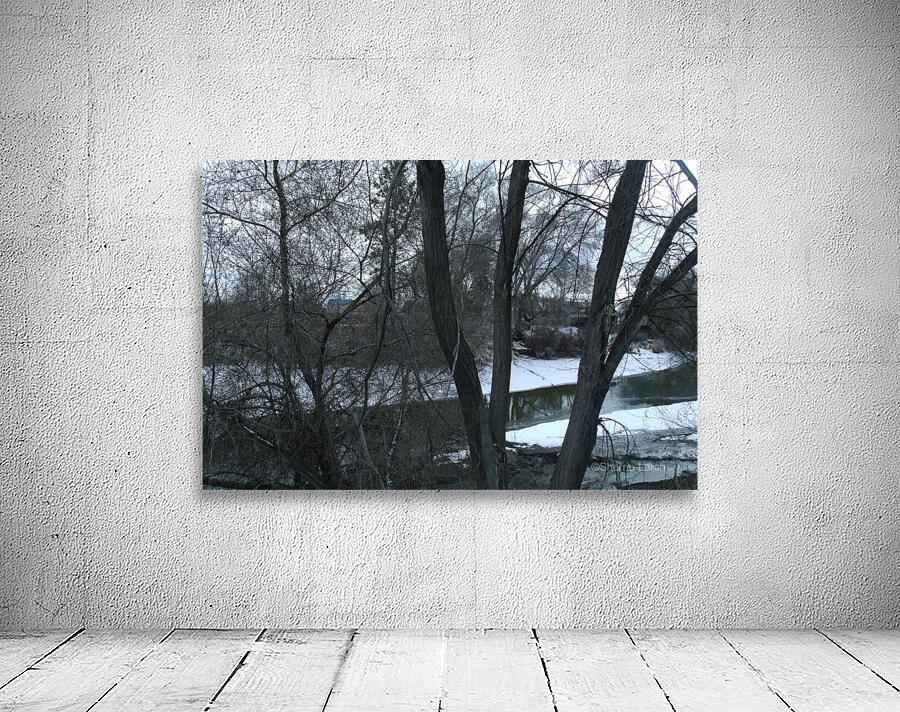 Spring Snow Trees 3  Wall Preview