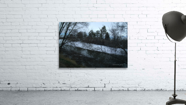 Spring Snow Trees 4  Wall Preview