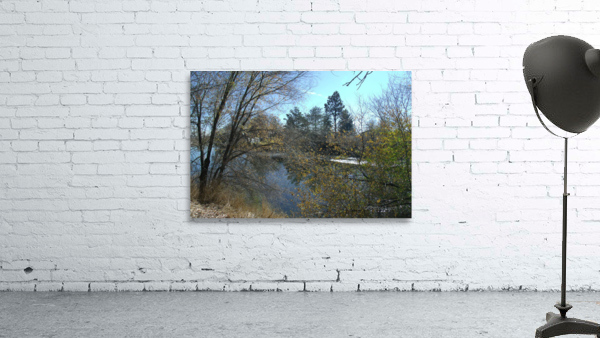 Lost River Trees 6 Wall Preview