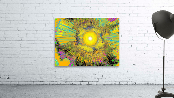 Winter Sunrise 12 Wall Preview