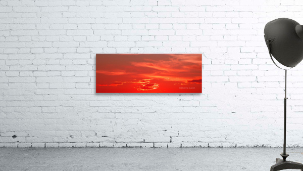 Sunset Scarlet Red 1 Wall Preview