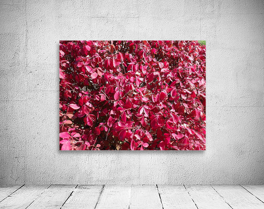 Red Leaves 1 Wall Preview