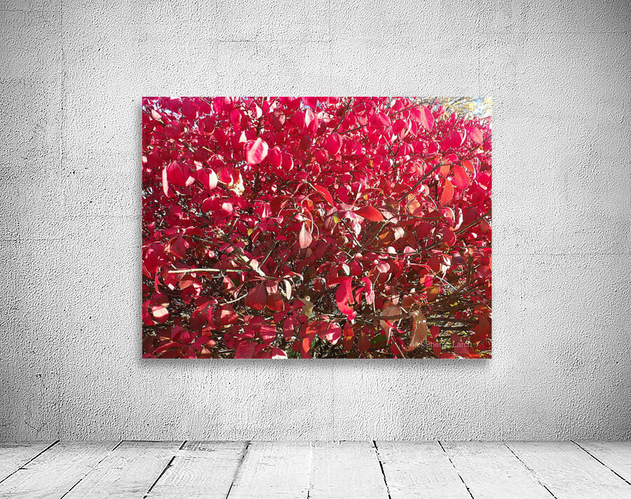Red Leaves 2 Wall Preview