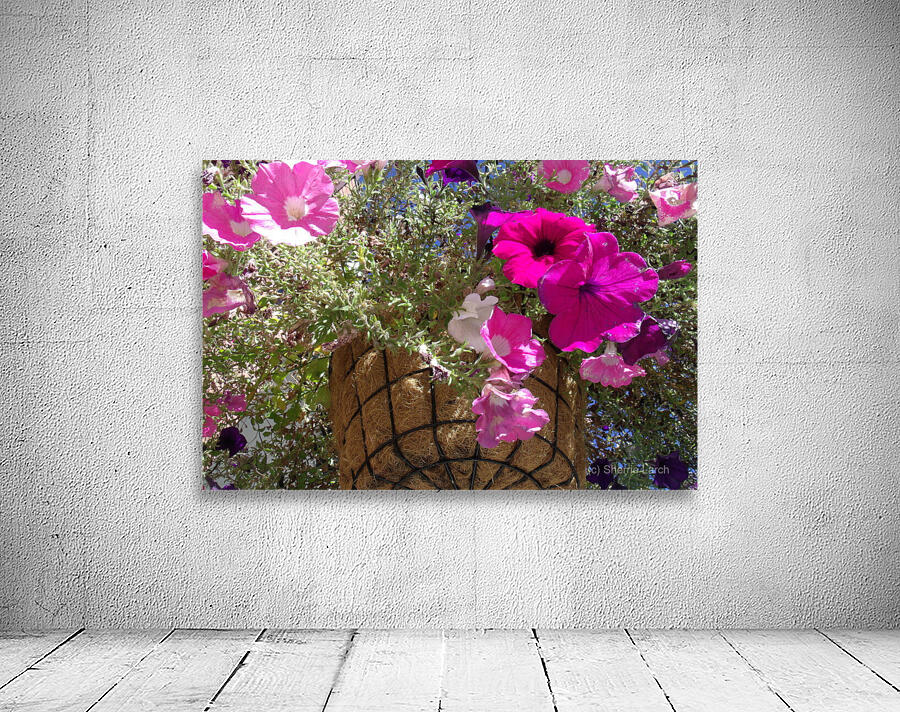Flower Baskets 1 Wall Preview