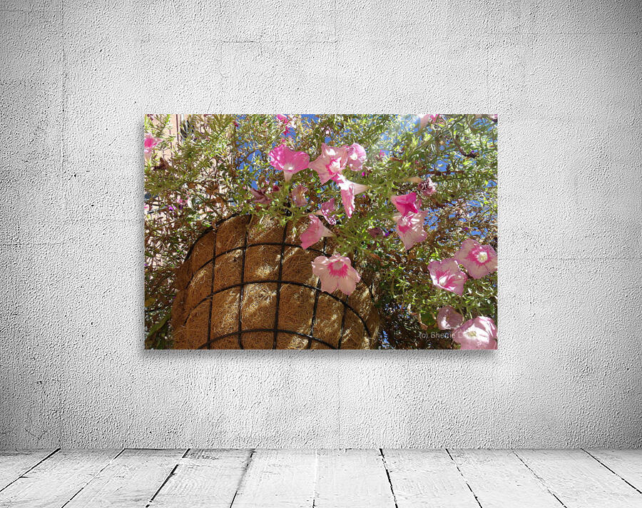 Flower Baskets 2 Wall Preview