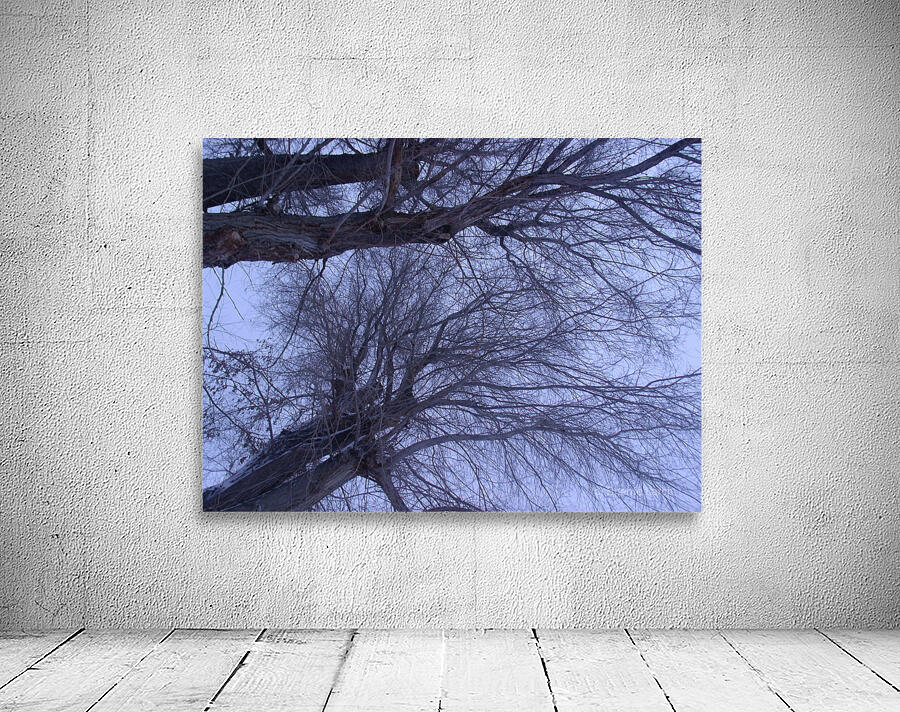 Tulelake Winter Tree 3 Wall Preview