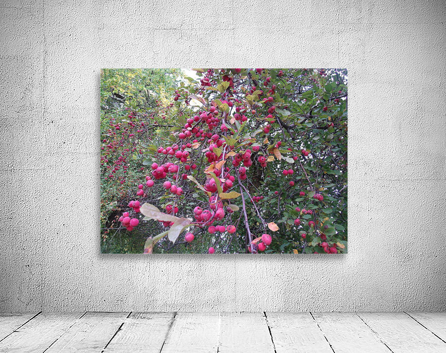Crabapples 1  Wall Preview