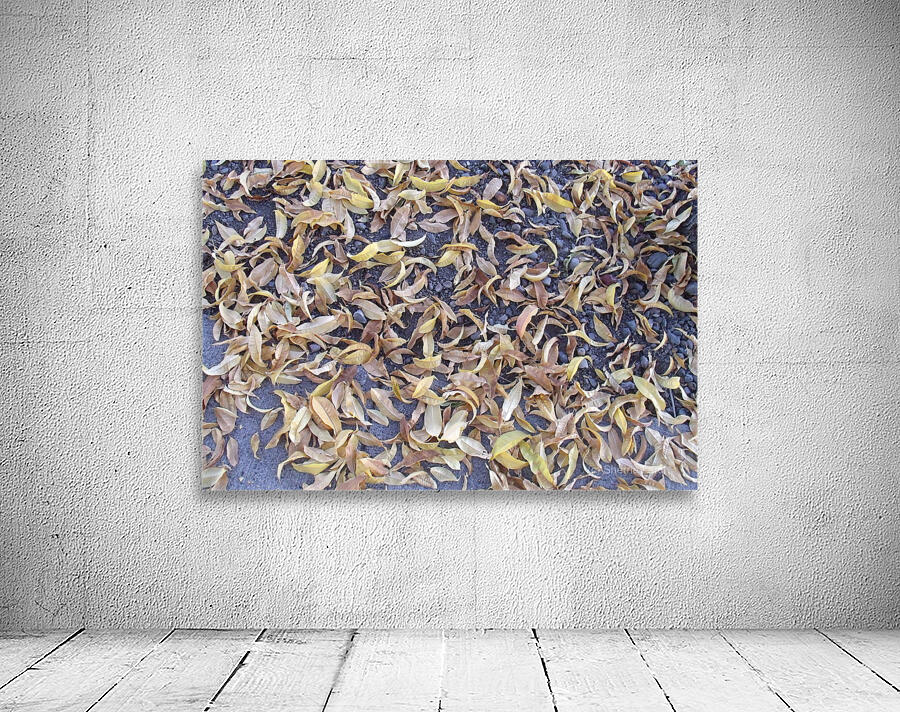 Fall Leaves 3 Wall Preview