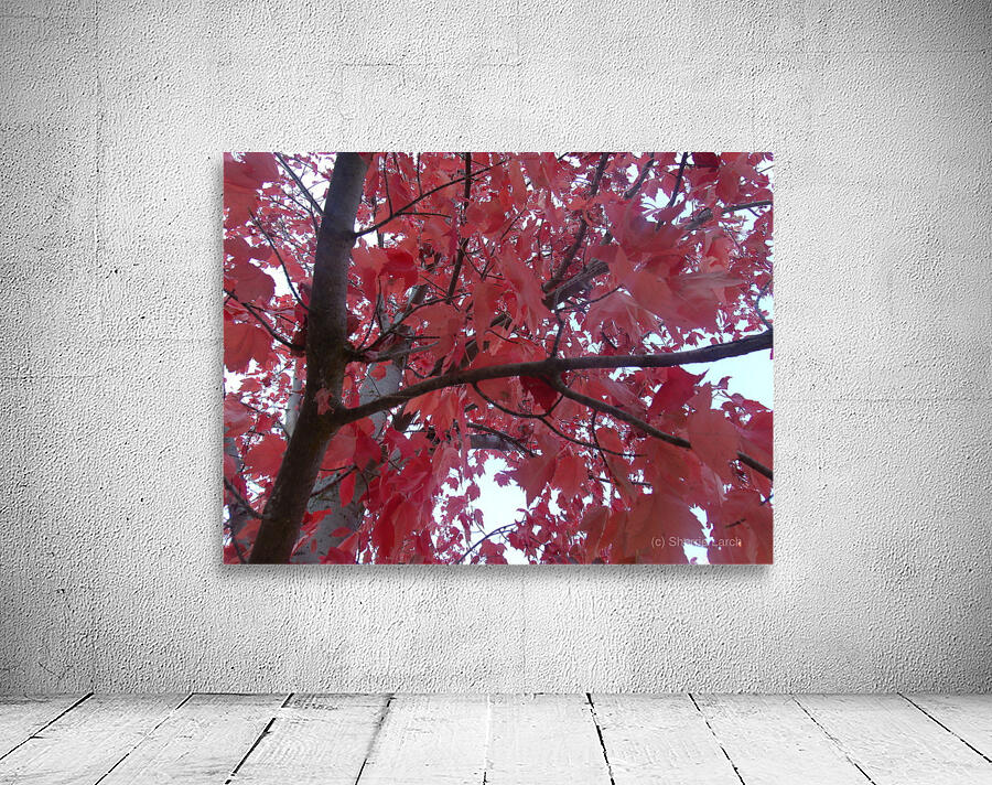 Maple Leaves 2 Wall Preview
