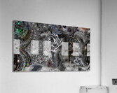 Colony 1 Acrylic Print