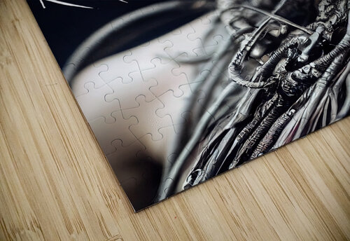 TechnopaganWarrior002 Kahtnipp puzzle