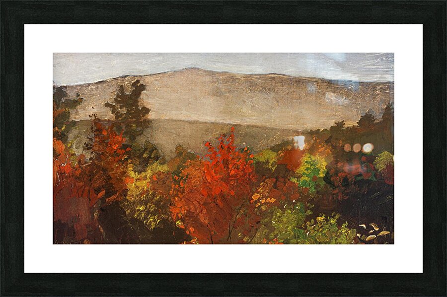 Autumn Tree Tops Picture Frame print