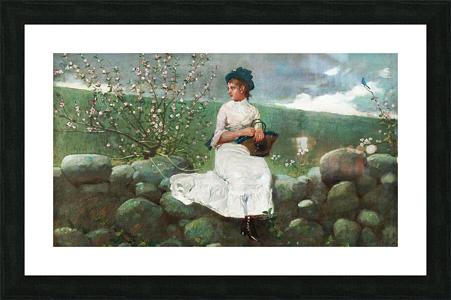 Peach Blossoms Picture Frame print