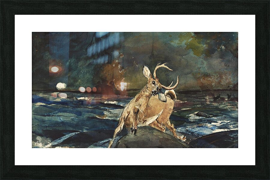 A Good Shot Adirondacks Picture Frame print