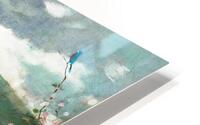 Peach Blossoms HD Metal print
