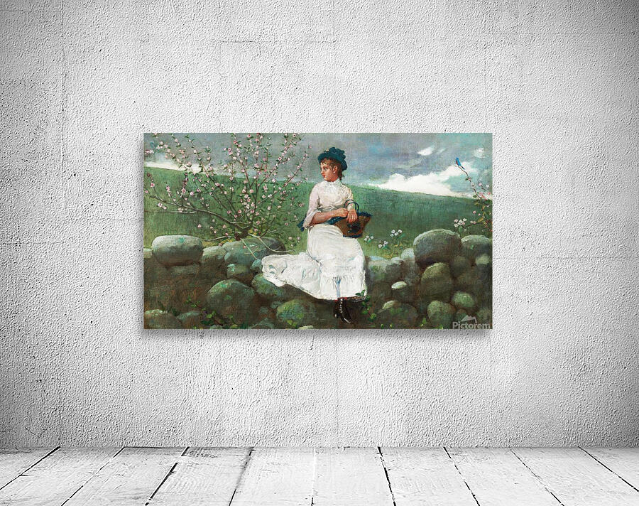 Peach Blossoms Wall Preview