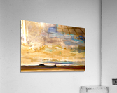 Take a Fly Acrylic Print