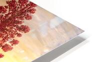 Balance HD Metal print
