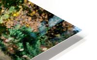 Humanity 030 HD Metal print